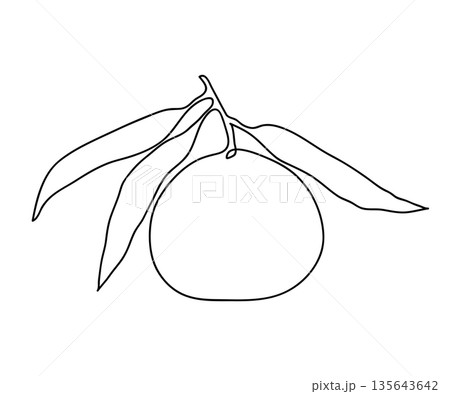 Mandarin tree branch. Modern single line art drawing. Continuous line drawing. Outline draw design vector illustration 135643642