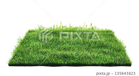 green grass turf isolated on white background , 3D illustration green grass turf isolated on white background , 3D illustration 135643823