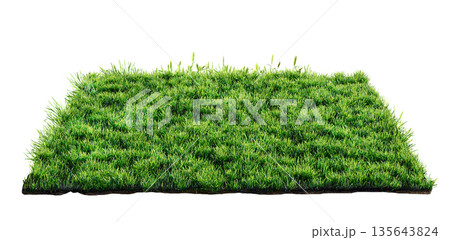green grass turf isolated on white background , 3D illustration 135643824