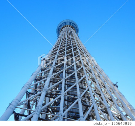 下から見上げたスカイツリー 下から見上げたスカイツリー 135643919