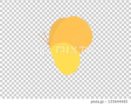 横向きの黄色い蝶々 135644485