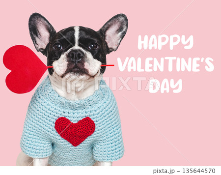 Happy Valentine's Day. Cute puppy and congratulatory inscription 135644570