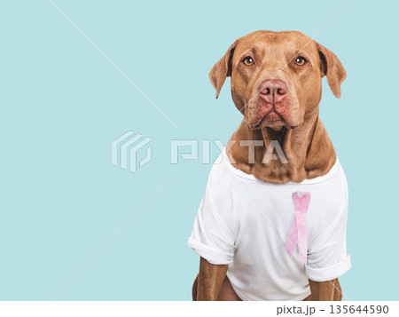 Cute puppy and pink ribbon. Express moral support Cute puppy and pink ribbon. Express moral support 135644590