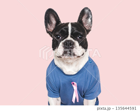 Cute puppy and Pink Awareness Ribbon. Express moral support 135644591