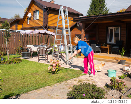 Woman raking cut grass on a paved backyard near a rural house, surrounded by green lawn and garden. Housekeeping work for springtime. Woman raking cut grass on a paved backyard near a rural house, surrounded by green lawn and garden. Housekeeping work for springtime. 135645535