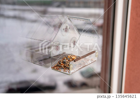 Transparent window bird feeder with seeds on snowy day Transparent window bird feeder with seeds on snowy day 135645621