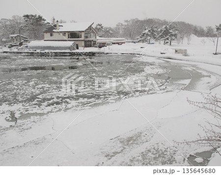 冬の大沼国定公園 北海道 冬の大沼国定公園 北海道 135645680