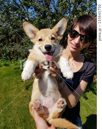 Happy Corgi puppy held by smiling woman outdoors Happy Corgi puppy held by smiling woman outdoors 135645750