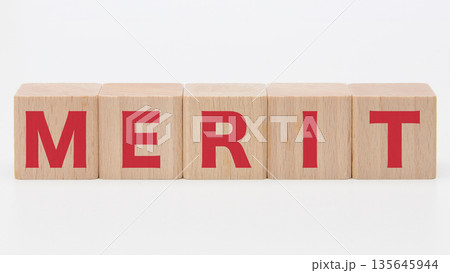 積み木に文字　MERIT 3 135645944