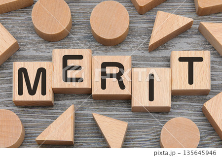 積み木に文字　MERIT 4 135645946