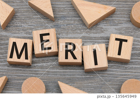 積み木に文字　MERIT 6 135645949