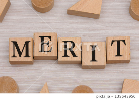 積み木に文字　MERIT 7 135645950