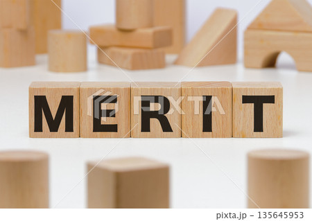 積み木に文字　MERIT 9 135645953