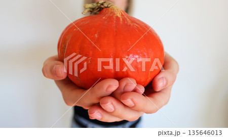 Beautiful blonde girl on a white background with a pumpkin in her hands Beautiful blonde girl on a white background with a pumpkin in her hands 135646013