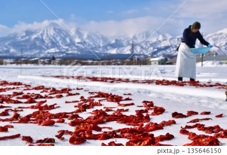 唐辛子の雪さらし 新潟 唐辛子の雪さらし 新潟 135646150