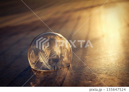 Frozen bubble in nature. A beautiful macro shot of nature in winter. Concept for environment, water and frost. 135647524