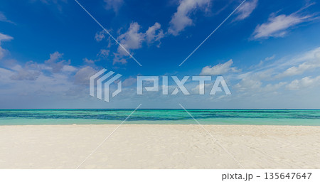 Panoramic sunshine beach landscape ocean sand sky horizon shore Panoramic sunshine beach landscape ocean sand sky horizon shore 135647647