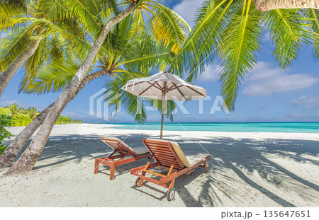 Sunny beach couple tropical honeymoon destination landscape Sunny beach couple tropical honeymoon destination landscape 135647651