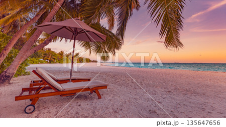 Panoramic sunset couple honeymoon beach sun beds umbrella palm leaves tropical vacation landscape 135647656