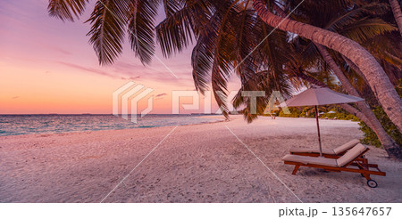 Sunset panoramic couple honeymoon tropical beach sun beds umbrella palm leaves vacation landscape Sunset panoramic couple honeymoon tropical beach sun beds umbrella palm leaves vacation landscape 135647657