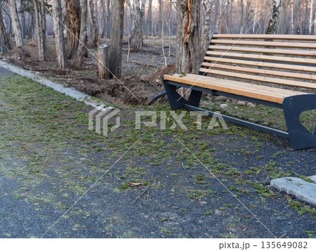 Empty wooden bench in an urban park near a new pedestrian curb, spring or autumn. 135649082