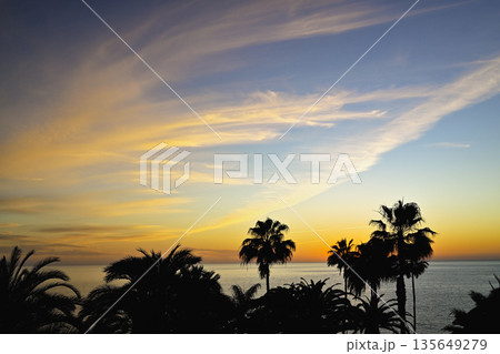 Tropical vacation seascape With Palm Trees and Dramatic Golden Sunset Over Calm Ocean Tropical vacation seascape With Palm Trees and Dramatic Golden Sunset Over Calm Ocean 135649279
