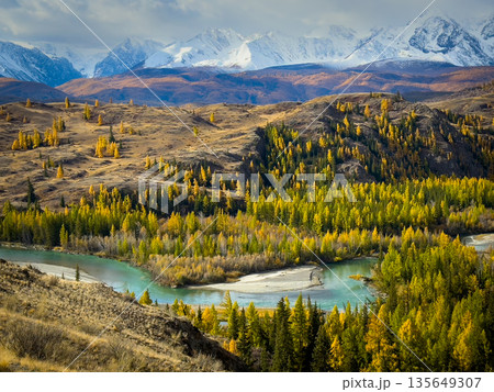 Autumnal valley river with turquoise water and snow capped mountains in Altai region Autumnal valley river with turquoise water and snow capped mountains in Altai region 135649307