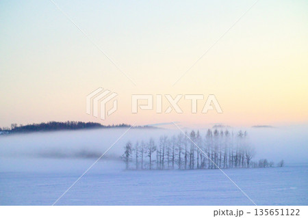 気嵐と防風林 135651122