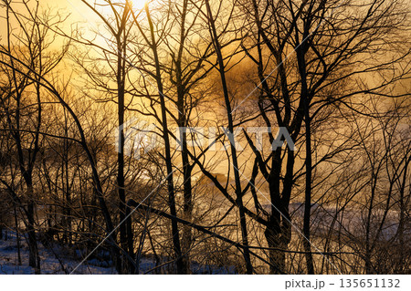 気嵐と朝日 135651132