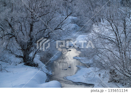冬の川 冬の川 135651134