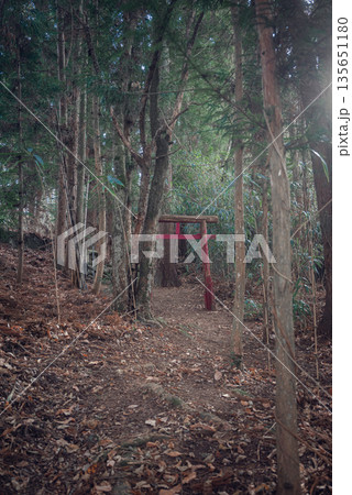 異世界への入口 異世界への入口 135651180