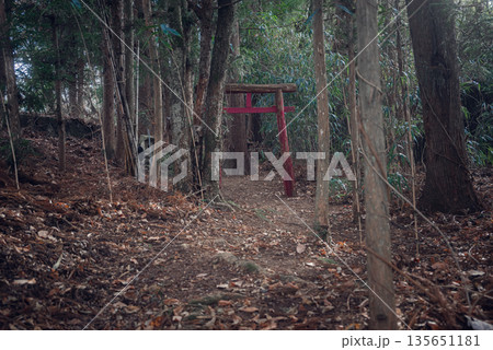 異世界への入口 異世界への入口 135651181