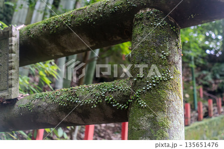 苔蒸した石鳥居 135651476