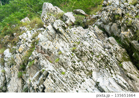 大歩危の背斜構造の岩肌 135651664
