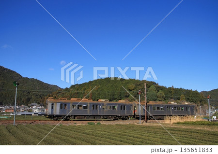 一面のお茶畑が広がる景色の中のんびりと走る大井川鉄道7200系電車_2026/1/3撮影 一面のお茶畑が広がる景色の中のんびりと走る大井川鉄道7200系電車_2026/1/3撮影 135651833