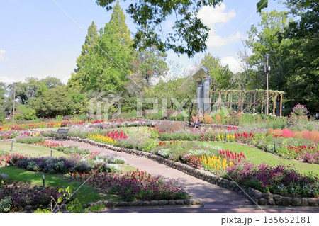 秋の植物園 秋の植物園 135652181