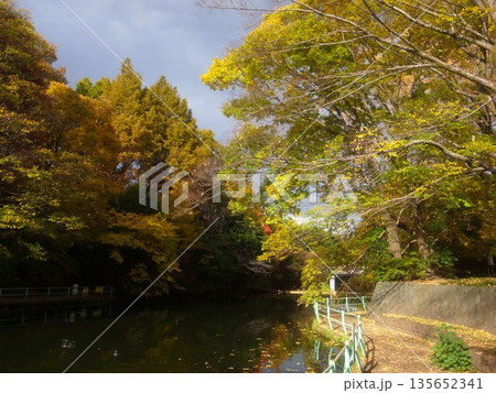 秋の武蔵関公園 135652341