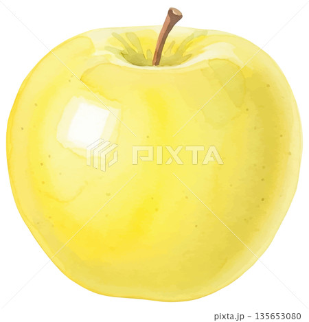 黄色いりんごの水彩風イラスト 135653080