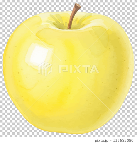 黄色いりんごの水彩風イラスト 135653080