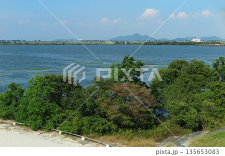 夏の琵琶湖の風景（草津市の滋賀県立琵琶湖博物館展望台より） 135653083