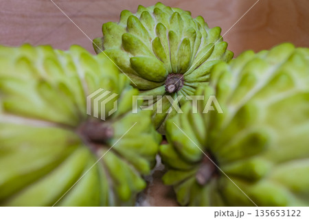 チャンパ 南国フルーツ 熱帯果樹 135653122