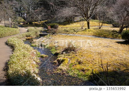 小川のある風景 小川のある風景 135653992