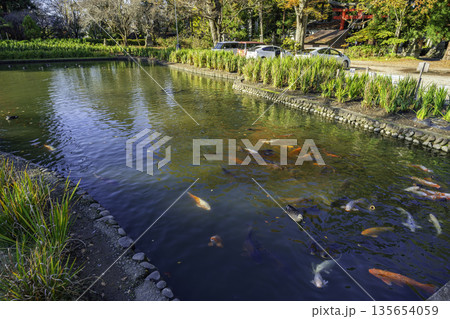 伊佐須美神社　あやめ苑　福島県会津美里町 135654059