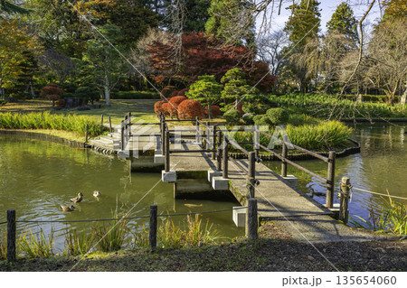 伊佐須美神社　あやめ苑　福島県会津美里町 135654060