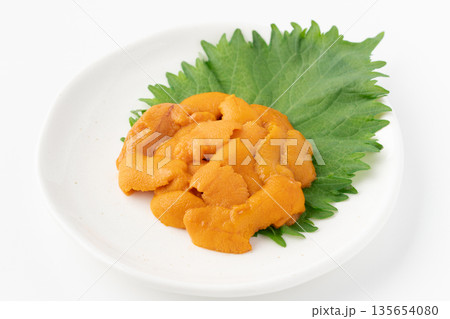 白背景にお皿に盛りつけた美味しそうな生のエゾバフンウニ 白背景にお皿に盛りつけた美味しそうな生のエゾバフンウニ 135654080