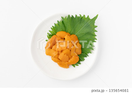 白背景にお皿に盛りつけた美味しそうな生のエゾバフンウニ 135654081