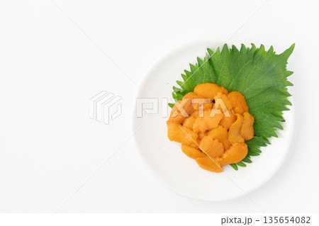 白背景にお皿に盛りつけた美味しそうな生のエゾバフンウニ 白背景にお皿に盛りつけた美味しそうな生のエゾバフンウニ 135654082