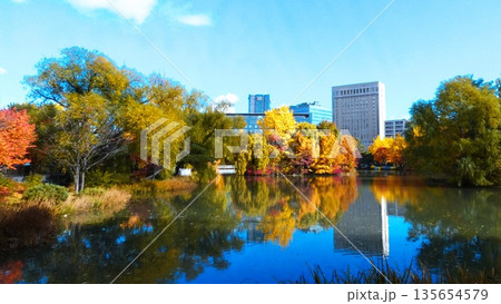 晩秋に染まる絶景 中島公園 晩秋に染まる絶景 中島公園 135654579
