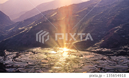 元陽の多依樹梯田のライステラスの絶景 元陽の多依樹梯田のライステラスの絶景 135654918