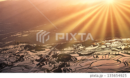 元陽の多依樹梯田のライステラスの絶景 元陽の多依樹梯田のライステラスの絶景 135654925